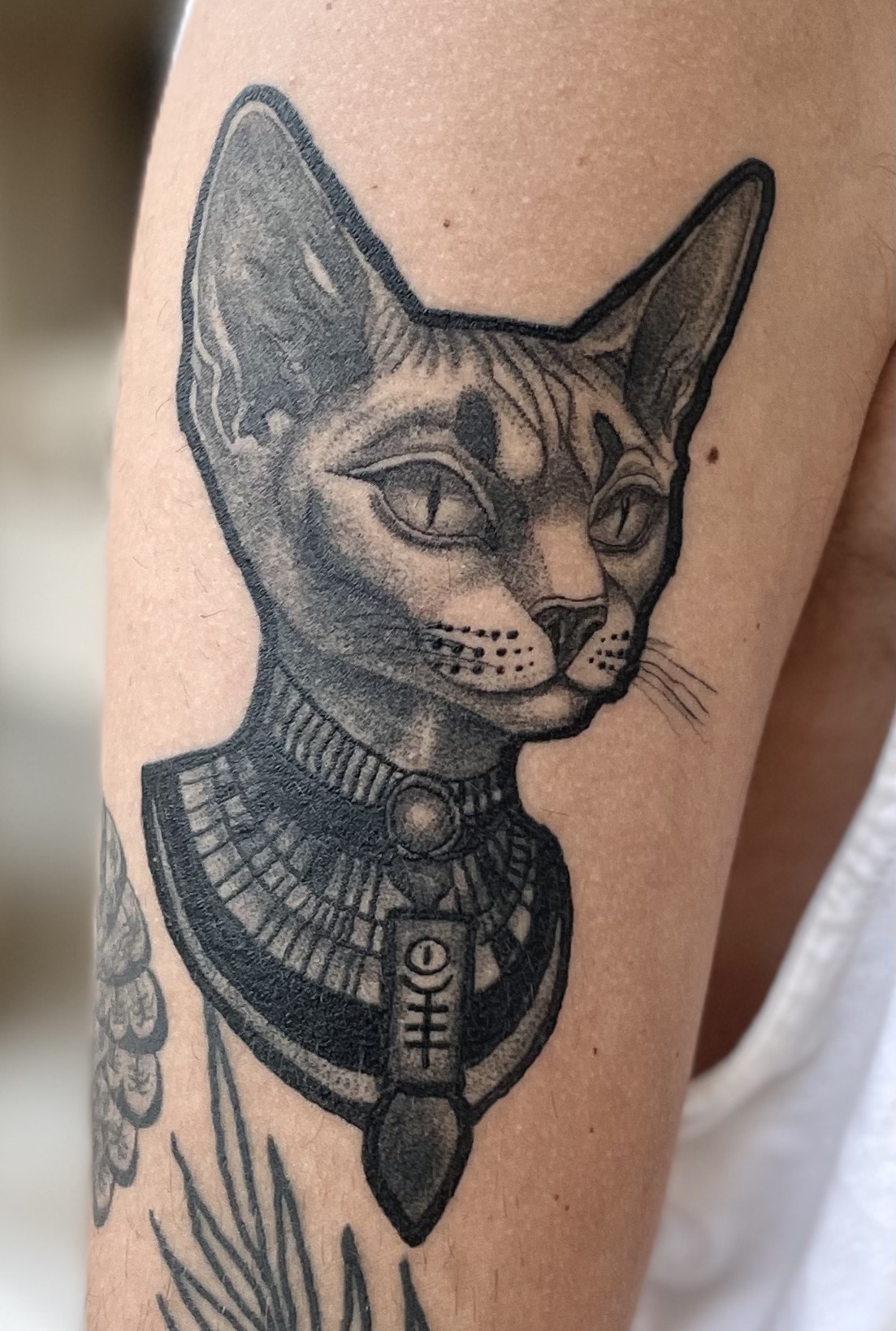 Egyptian cat tattoo with soft shading, healed